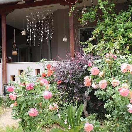 Villa Papas House Nea Iraklitsa